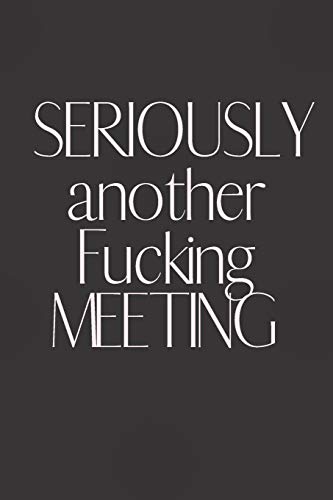 SERIOUSLY another Fucking MEETING: Notebook. Journal Gift. Diary. Doodle Gift or Notebook | 6 x 9 Compact Size- 80 Blank Lined Pages. Gift Present B