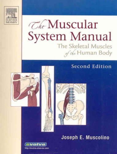 The Muscular System Manual - Text. Flashcards and Coloring Book Package